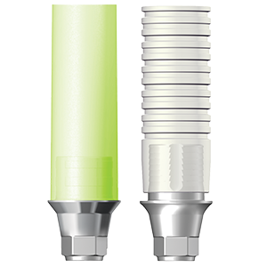 Dentium Castable Abutment (direct, metal)