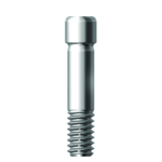 Dentium E-Abutment Screw (ASC2045)
