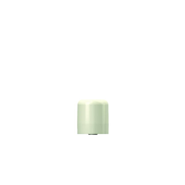 SCC45L Dentium E-Screw Comfort Cap (SCC45L)