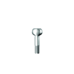 Dentium E-Imp. Coping Screw T (STS09)