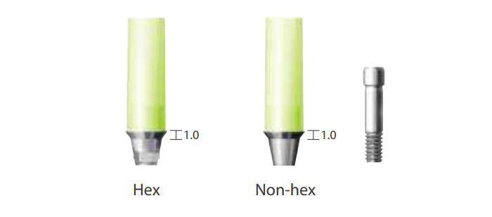 Types of Dentium Casting Abutments