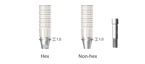 Types of Dentium Casting Abutments