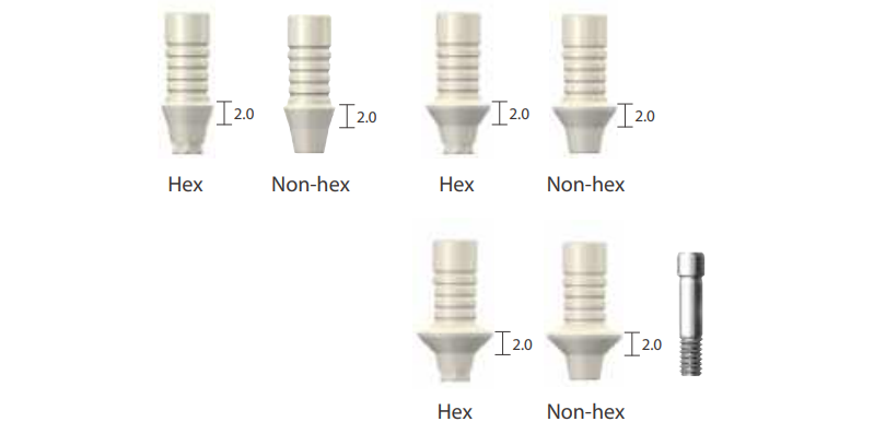 Types of Dentium Casting Abutments