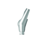 Dentium E-Angled Abutment [AAB254525HE]