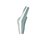 Dentium E-Angled Abutment (AAB254535N)