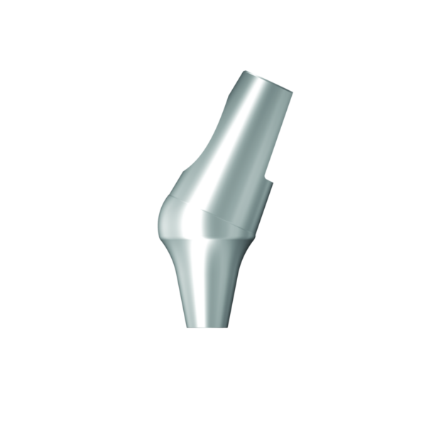 Dentium E-Angled Abutment [AAB255525NE]