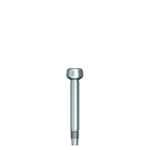 Dentium E-Impression Coping Screw T (DTS11E)