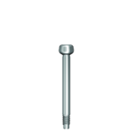 Dentium E-Impression Coping Screw T (DTS15E)
