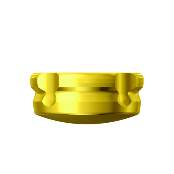 Dentium E-Magnet (MGT5520D)