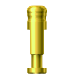 Dentium E-Positioner Analog (PAN)
