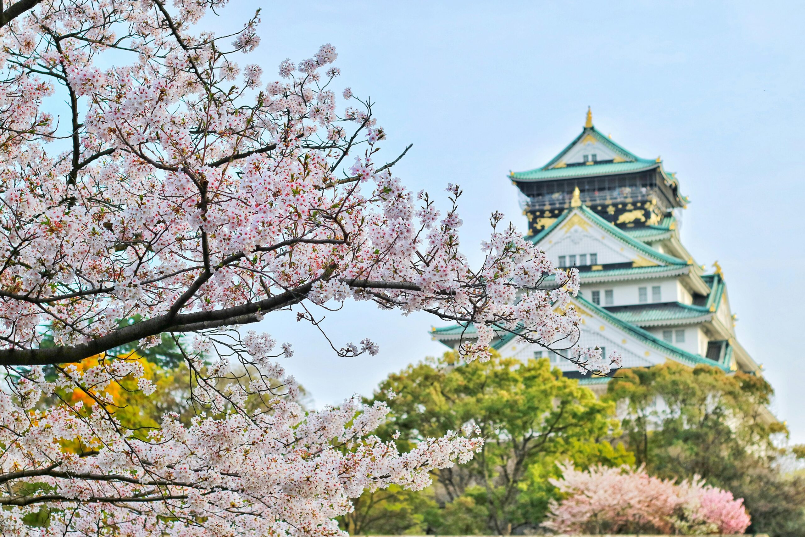 Experience Japan. Elevate Your Practice. The Dentium Forum 2025