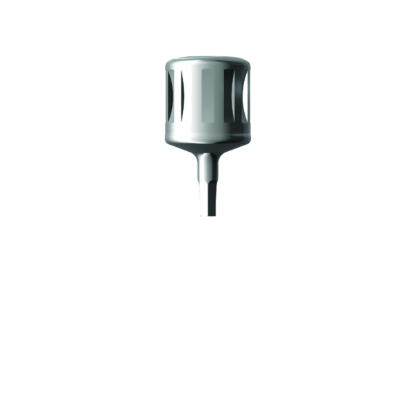 xhd13 Dentium E-P.S.T Hex Driver S (XHD13)
