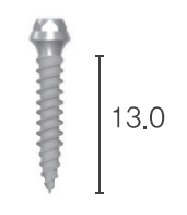 Dentium bright Fixture [NTI382013]