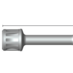 Dentium Adapter [BSA3827W]