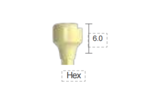 Dentium E-IOS Healing Abutment [IHAB6006H]
