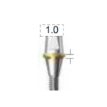 Dentium E-Combi Abutment (CAB4510S)