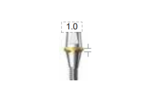 Dentium E-Combi Abutment (CAB4510S)