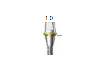 Dentium E-Combi Abutment (CAB4510S)