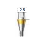 Dentium E-Combi Abutment (CAB4525S)