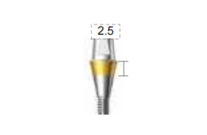 Dentium E-Combi Abutment (CAB4525S)