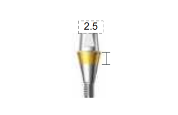 Dentium E-Combi Abutment (CAB4525S)