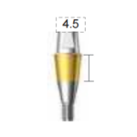 Dentium E-Combi Abutment (CAB4545S)
