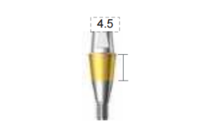 Dentium E-Combi Abutment (CAB4545S)