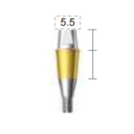 Dentium E-Combi Abutment (CAB4555S)