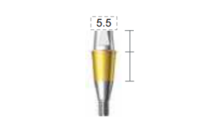 Dentium E-Combi Abutment (CAB4555S)