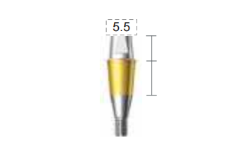 Dentium E-Combi Abutment (CAB4555S)