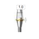 Dentium E-Combi Abutment (CAB4510)
