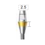 Dentium E-Combi Abutment (CAB4525)