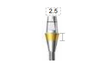 Dentium E-Combi Abutment (CAB4525)