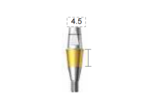 Dentium E-Combi Abutment (CAB4545)