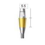 Dentium E-Combi Abutment (CAB4555)