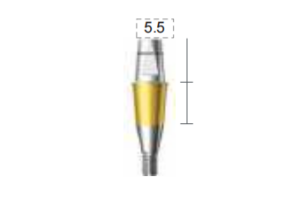 Dentium E-Combi Abutment (CAB4555)