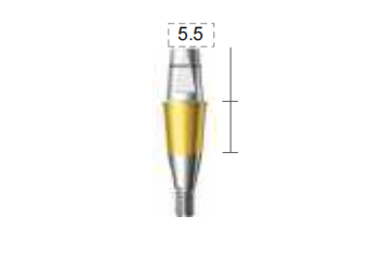 Dentium E-Combi Abutment (CAB4555)