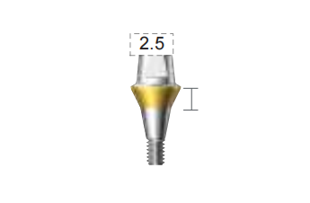 Dentium E-Combi Abutment (CAB5525S)