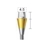 Dentium E-Combi Abutment (CAB5545S)