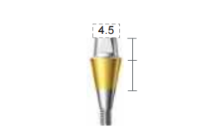Dentium E-Combi Abutment (CAB5545S)