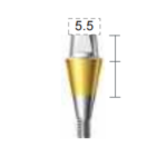 Dentium E-Combi Abutment (CAB5555S)