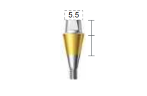 Dentium E-Combi Abutment (CAB5555S)