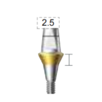 Dentium E-Combi Abutment (CAB5525)