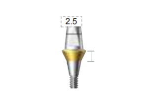 Dentium E-Combi Abutment (CAB5525)