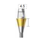 Dentium E-Combi Abutment (CAB5545)