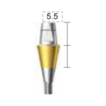 Dentium E-Combi Abutment (CAB5555)