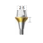 Dentium E-Combi Abutment (CAB6525S)