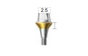 Dentium E-Combi Abutment (CAB6525S)