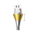 Dentium E-Combi Abutment (CAB6545S)
