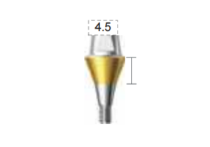 Dentium E-Combi Abutment (CAB6545S)